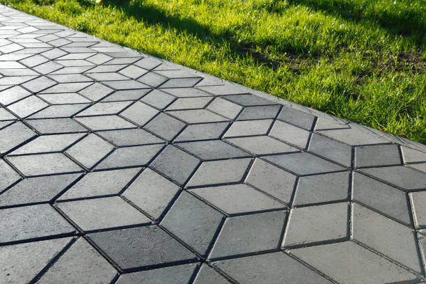 Best Local Driveway Pavers  in Lonville, GA